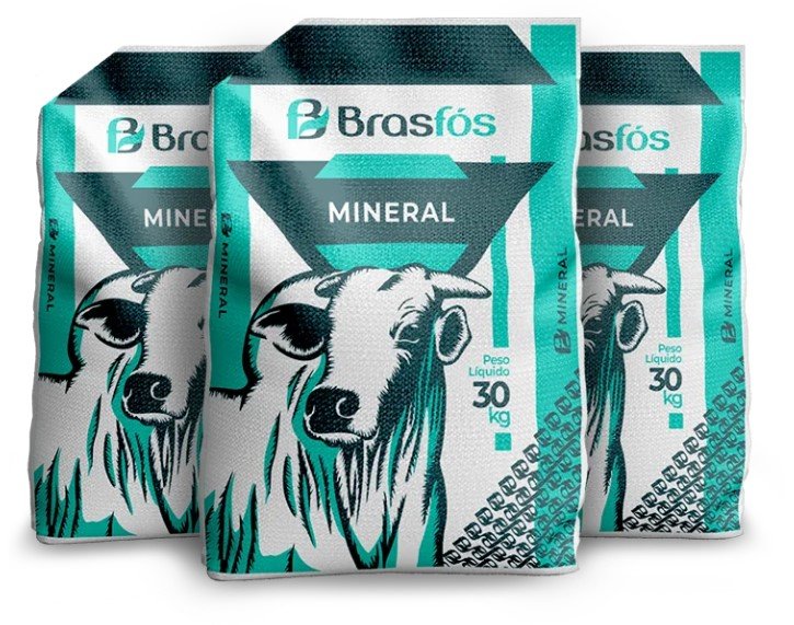 suplementação mineral bovina